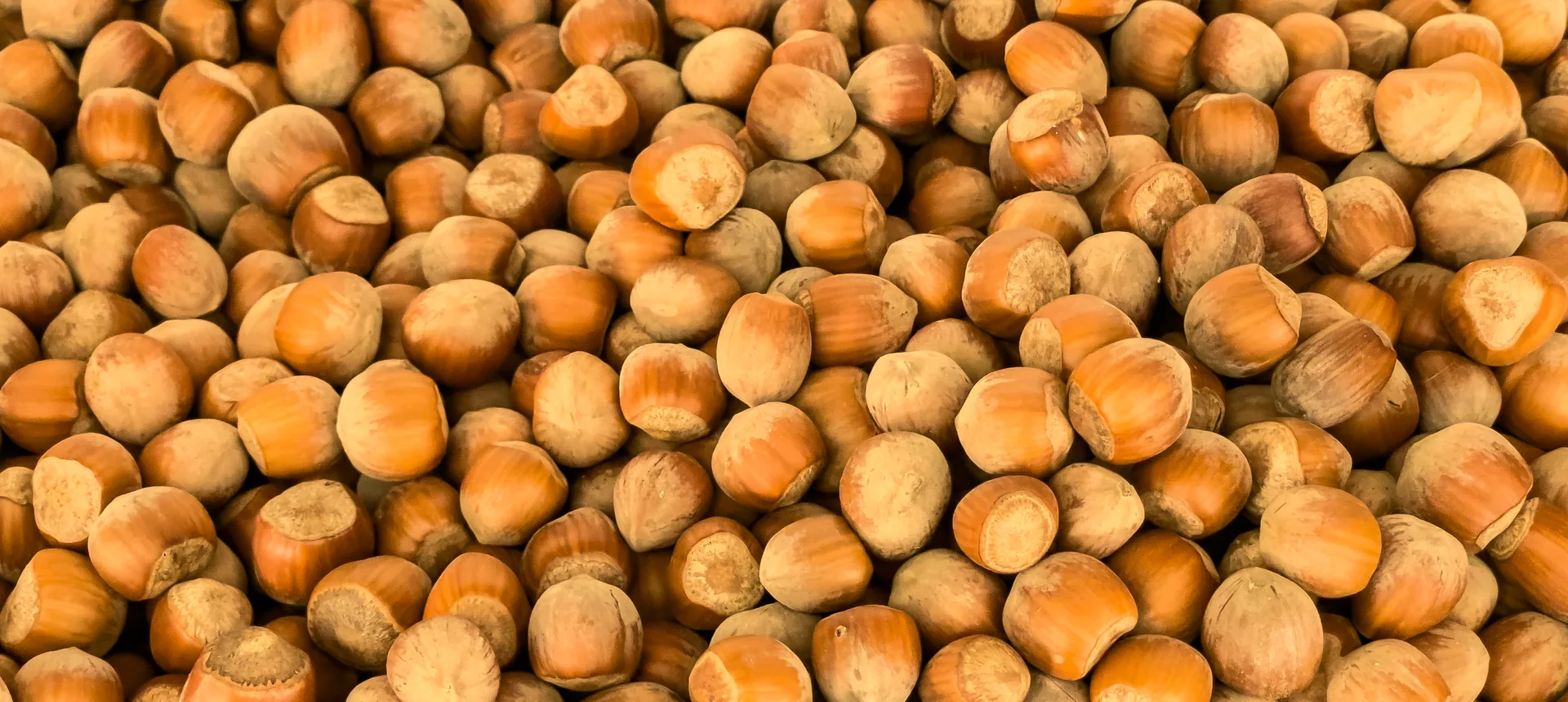 L'interno della Bottega Contadina a L'Aquila